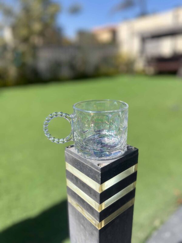 JIGVA Glass Mug with Handle